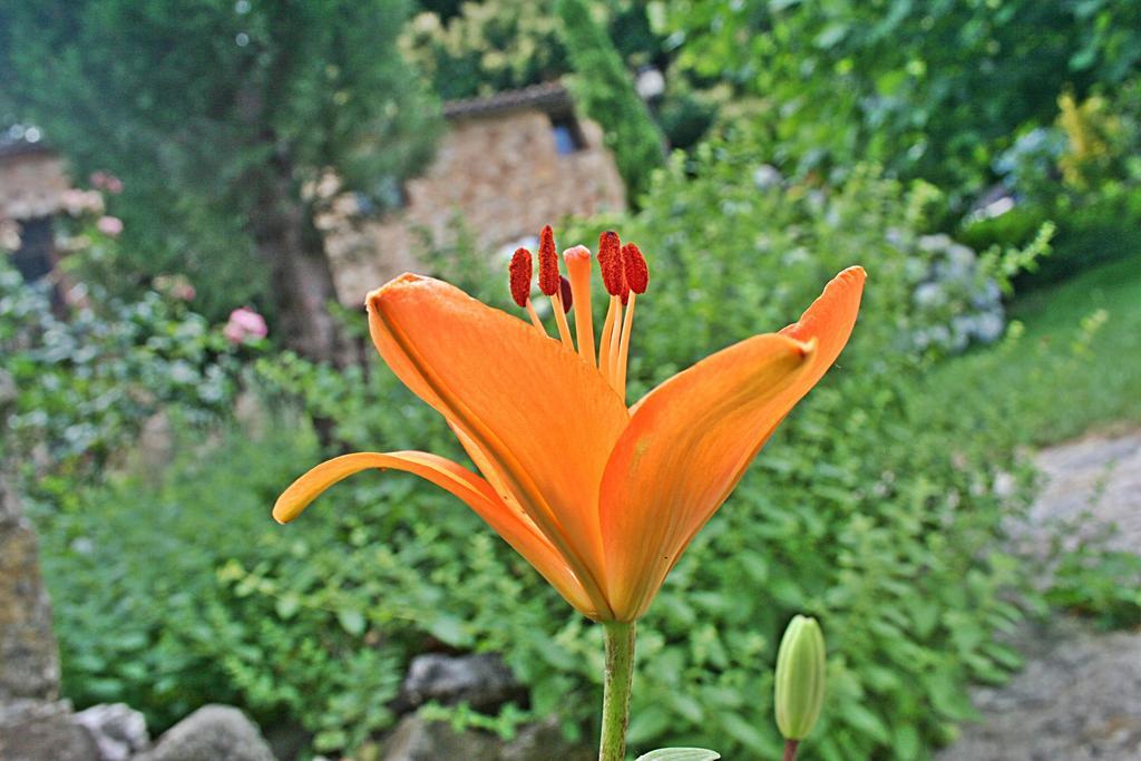 Finca El Carpintero Jerte Buitenkant foto