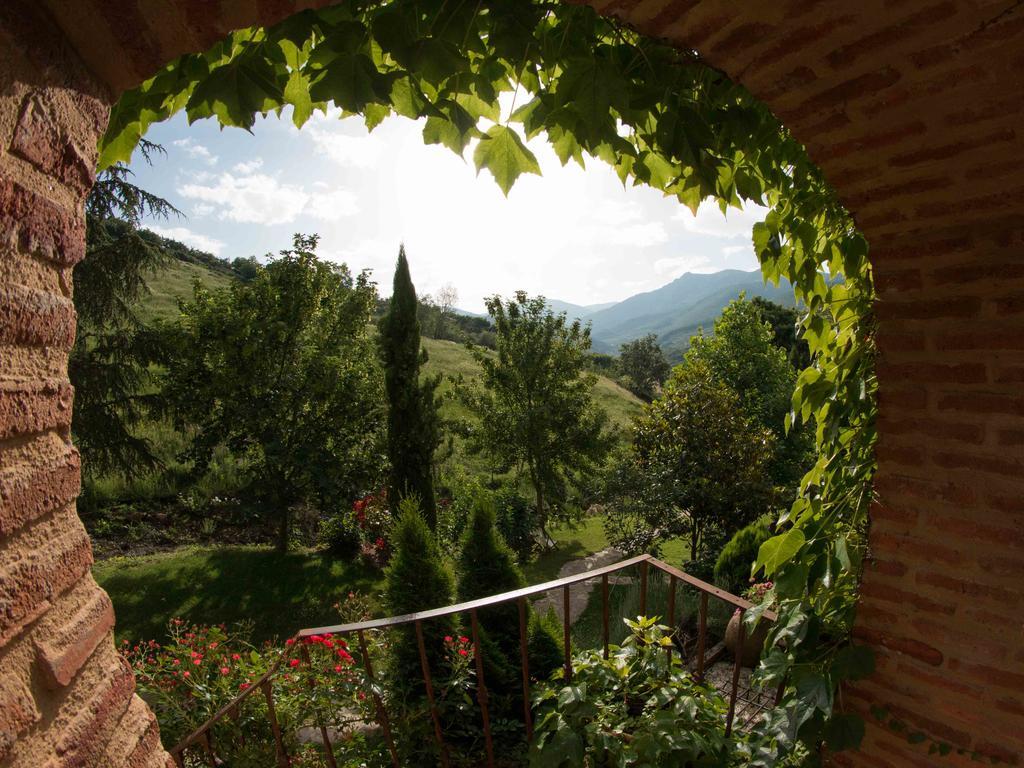 Finca El Carpintero Jerte Buitenkant foto